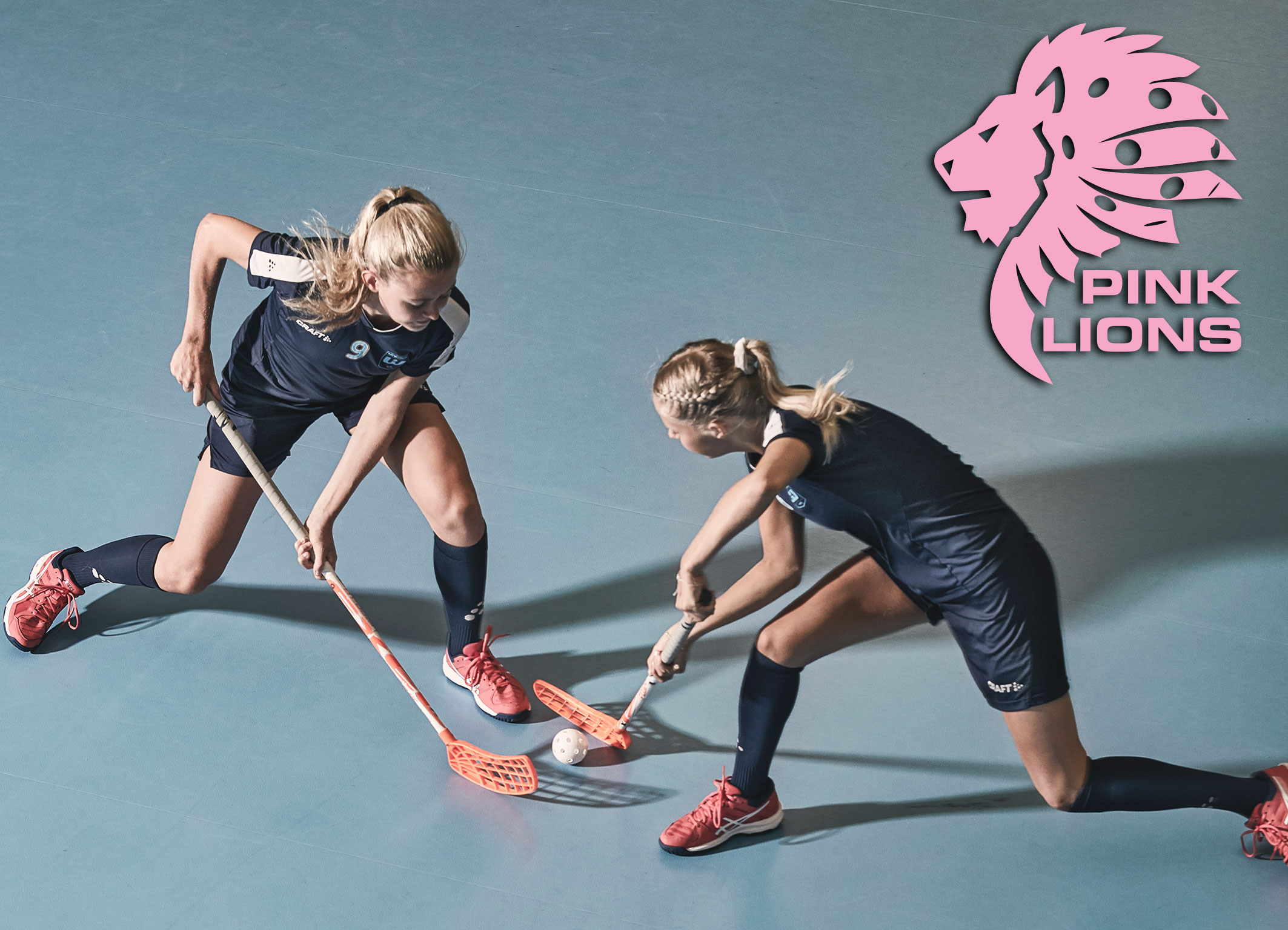 Pink Lions Floorball Projekt